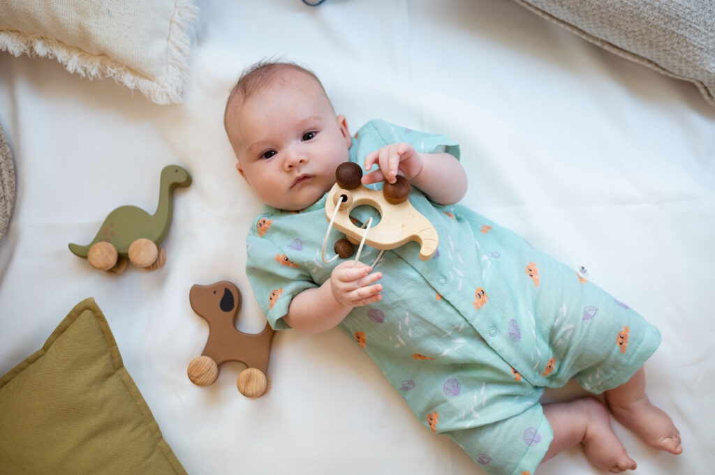 Wooden roller toys